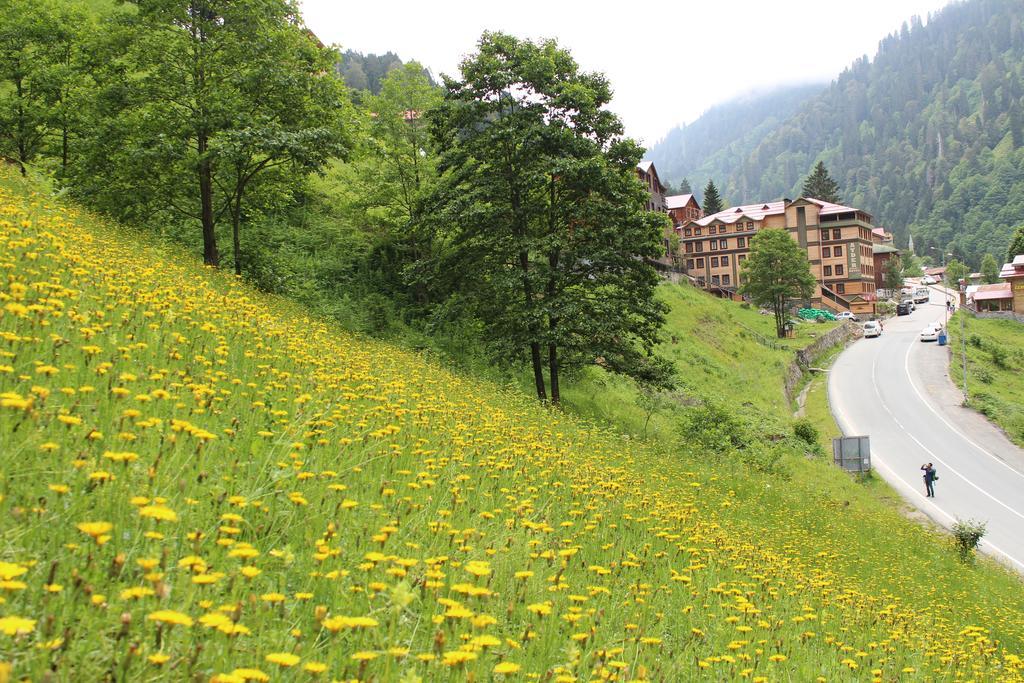Ayder Resort Hotel Rize Eksteriør billede
