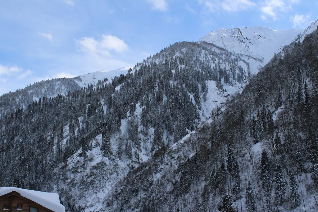 Ayder Resort Hotel Rize Eksteriør billede
